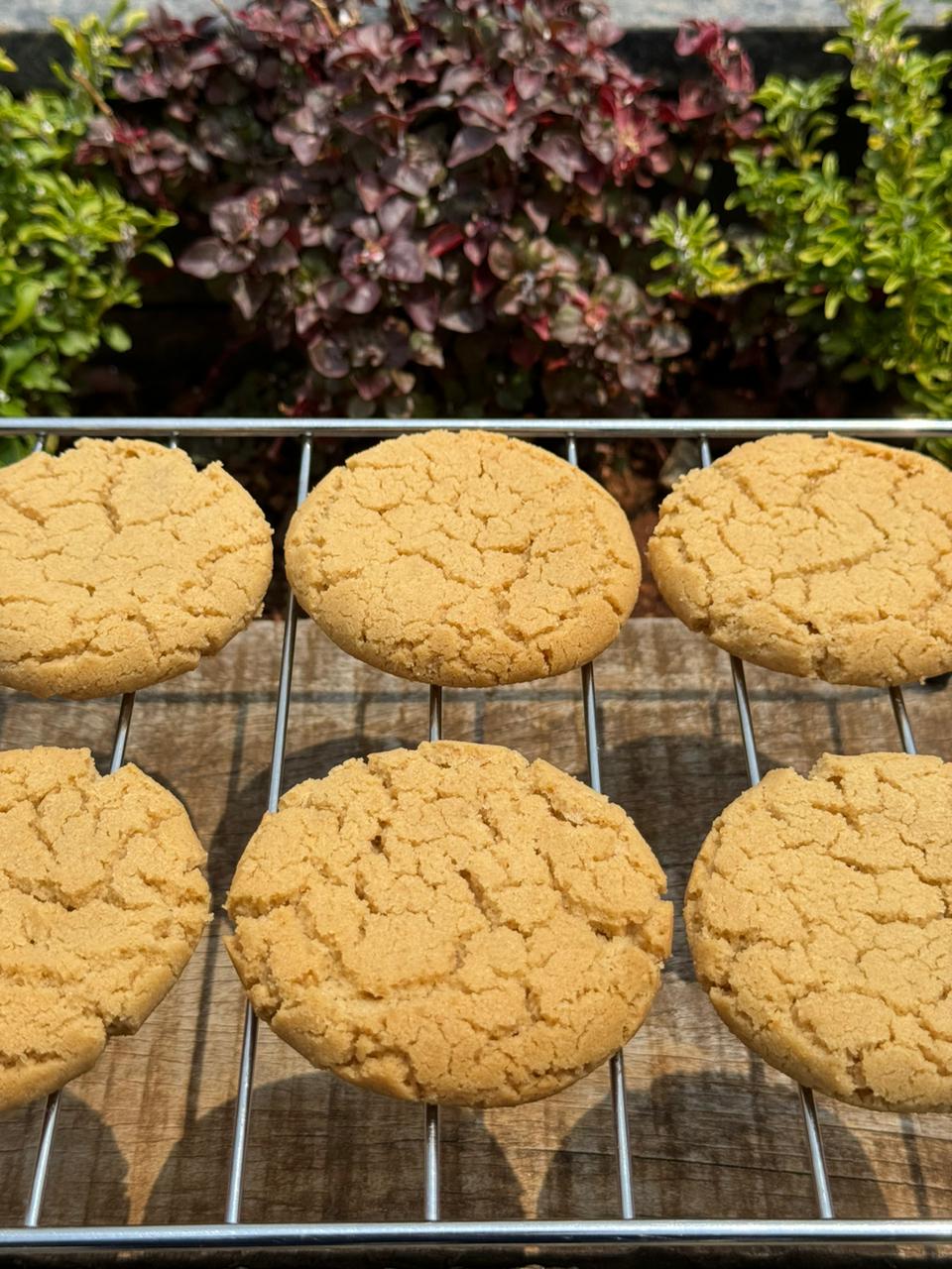 Cashew Cookies